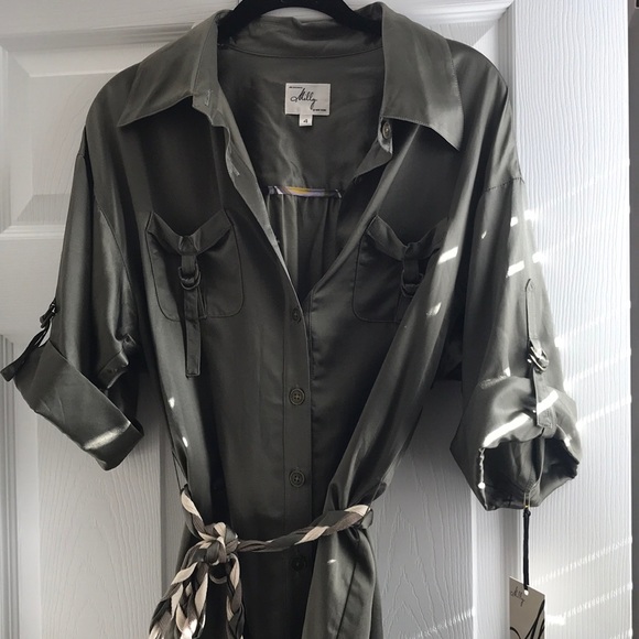 Milly size 4 silk Shirt dress. Brand new. - Picture 2 of 11